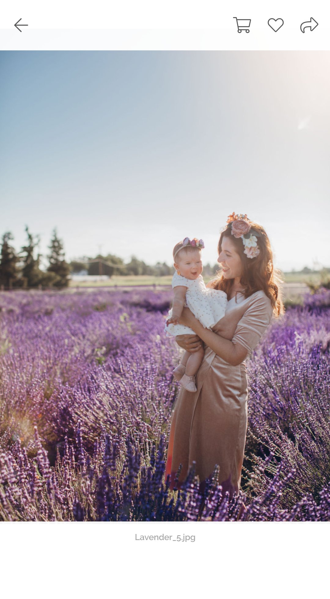 download_20190713_232522 download_20190713_232522